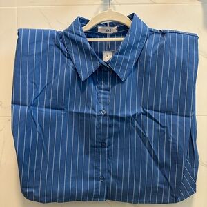 Blue Striped Women's Button Down Shirt